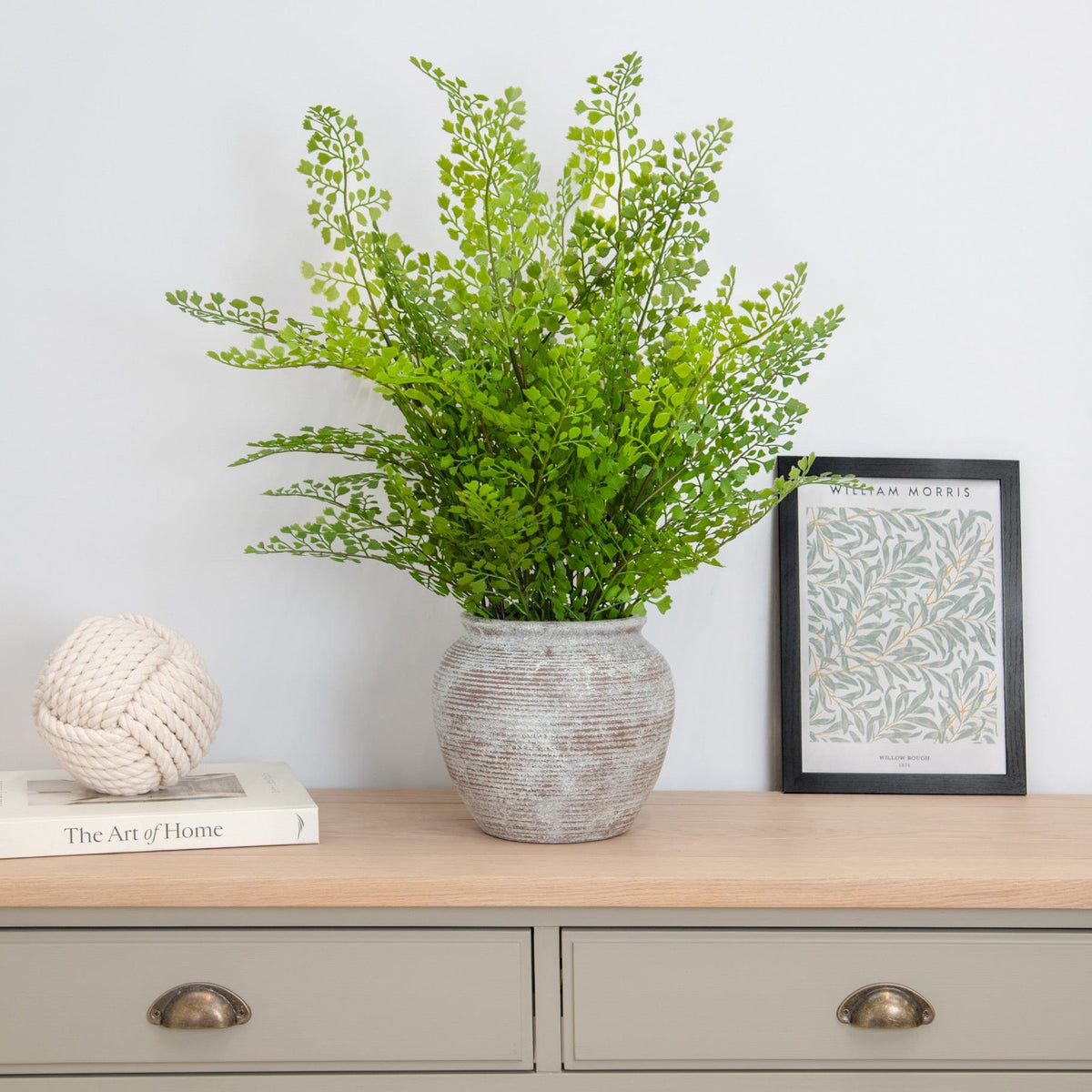 PP Fern Maidenhair in Pot 62cm S12.