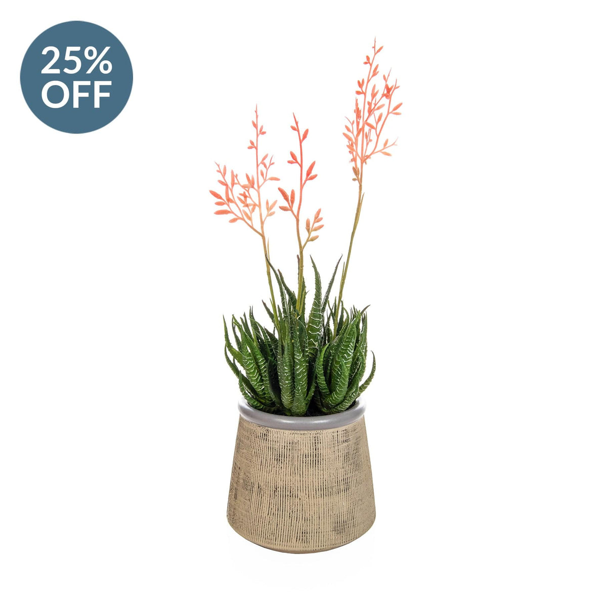 PP Flowering Aloes in Beige Pot YF 37cm.