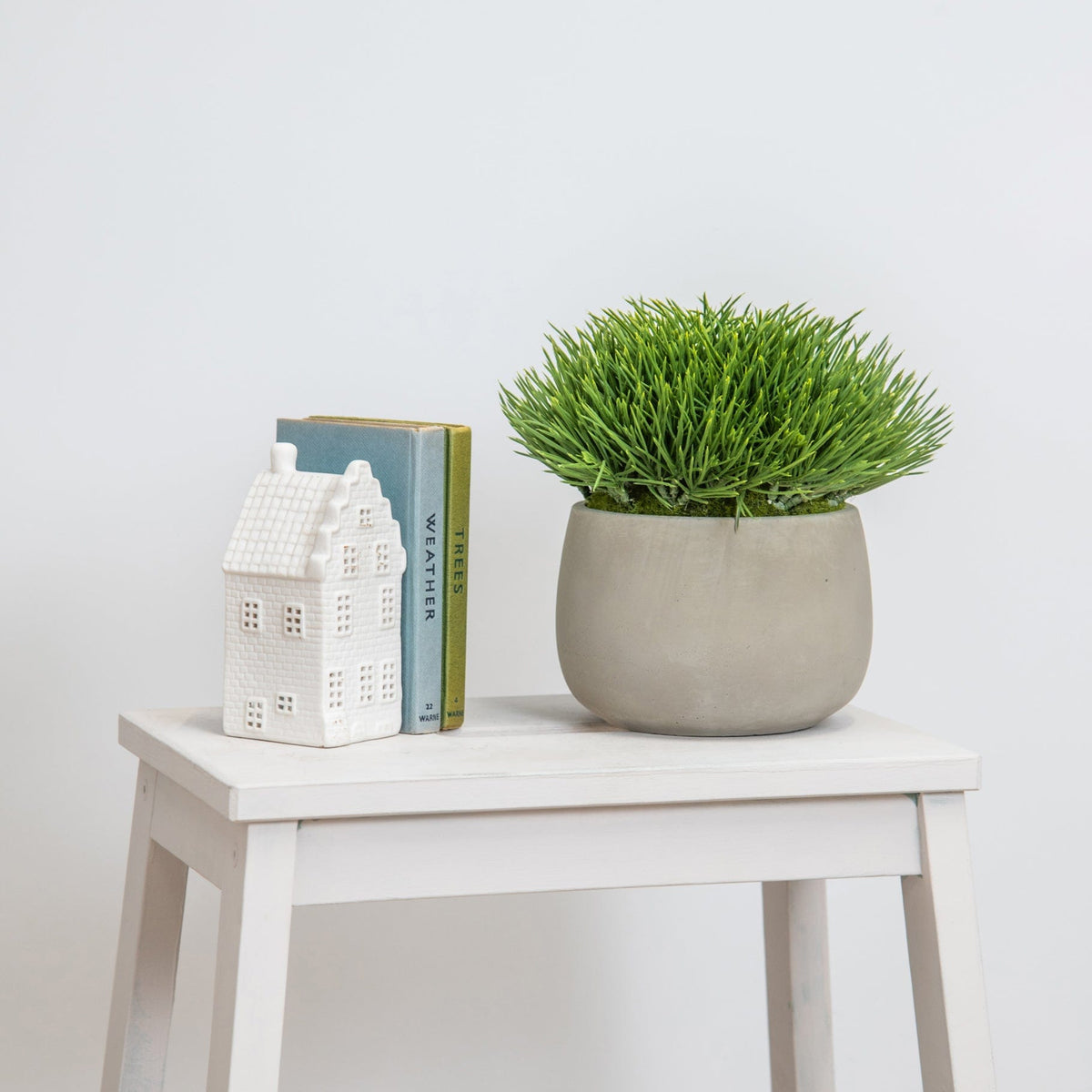 PP Grass in Pot 21cm S12.