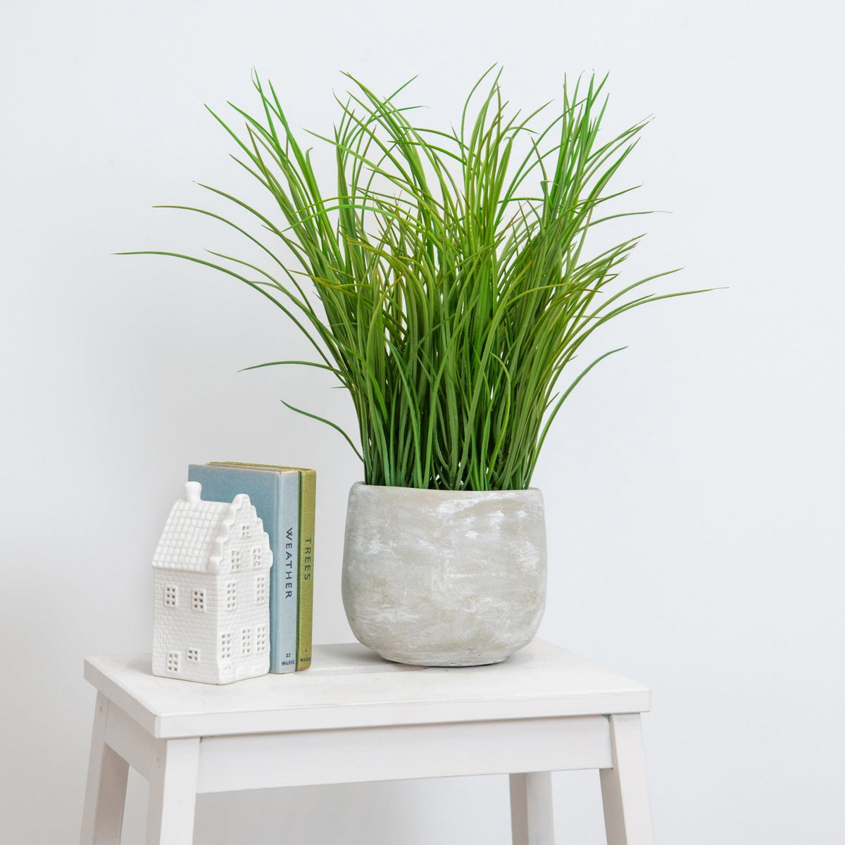 PP Grass in Pot 42cm S12.