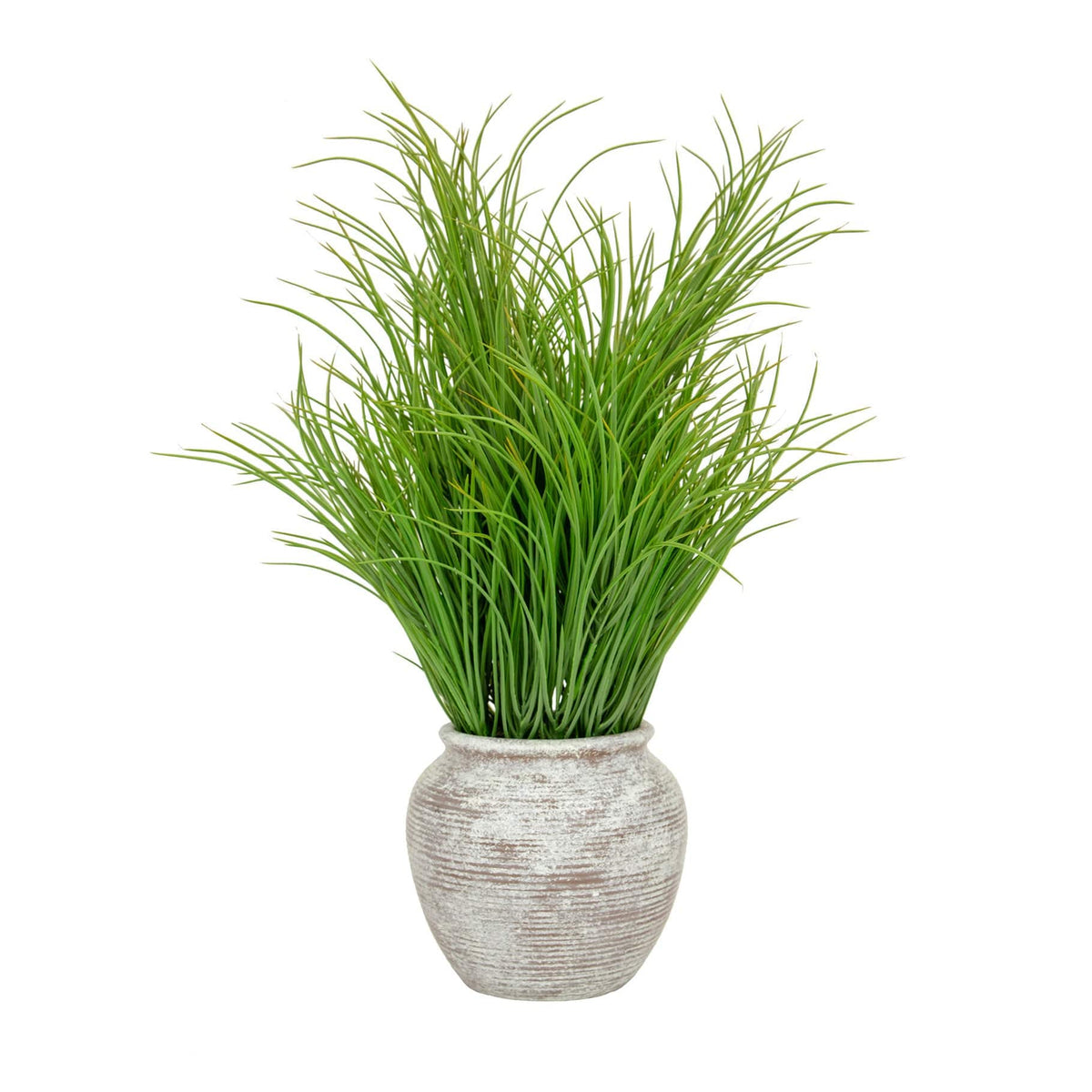 PP Grass in Pot 62cm S12.