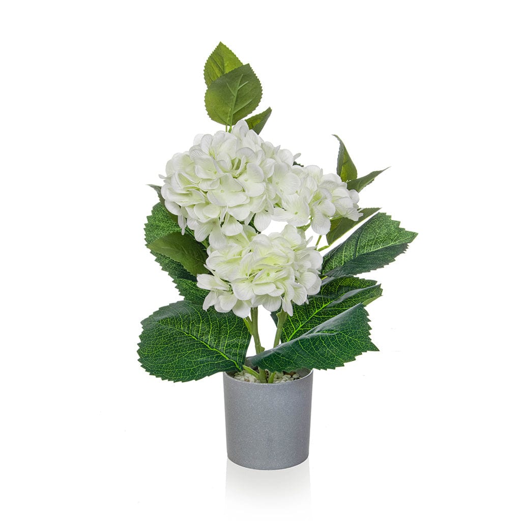 PP Hydrangea White in Grey Pot 45cm.