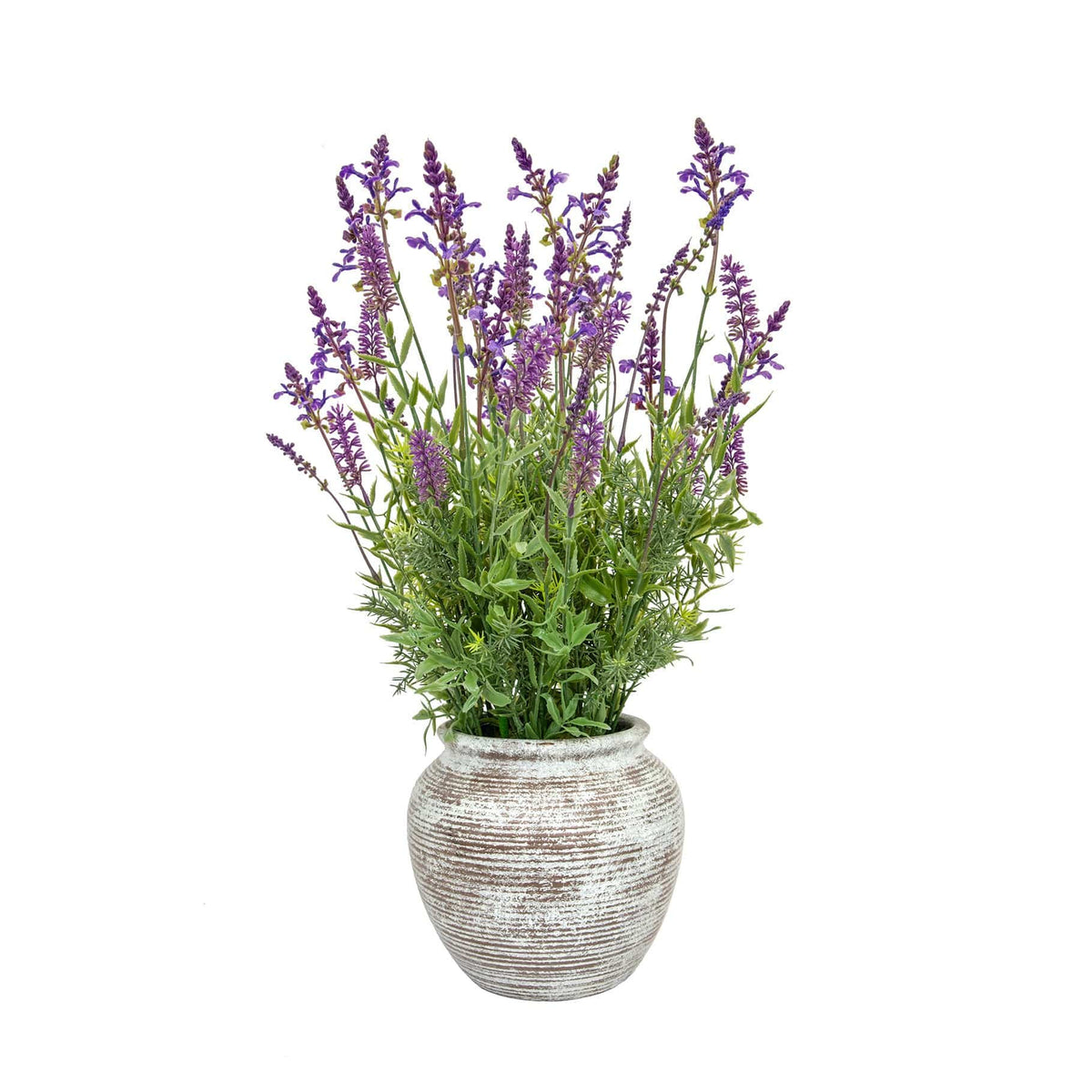 PP Lavender Grass Mix in Pot 63cm S12.
