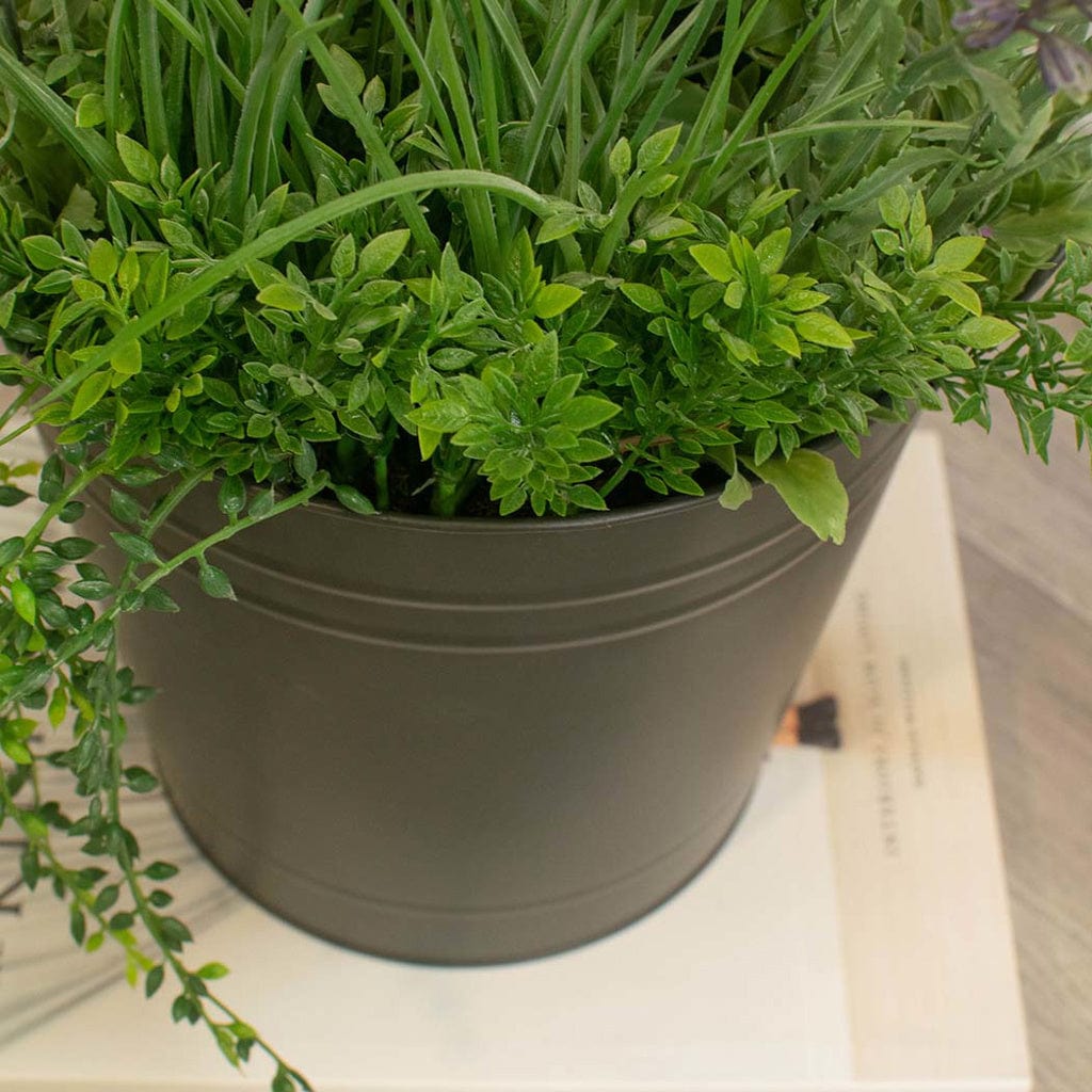 PP Lavender in Metal Pot 60cm.