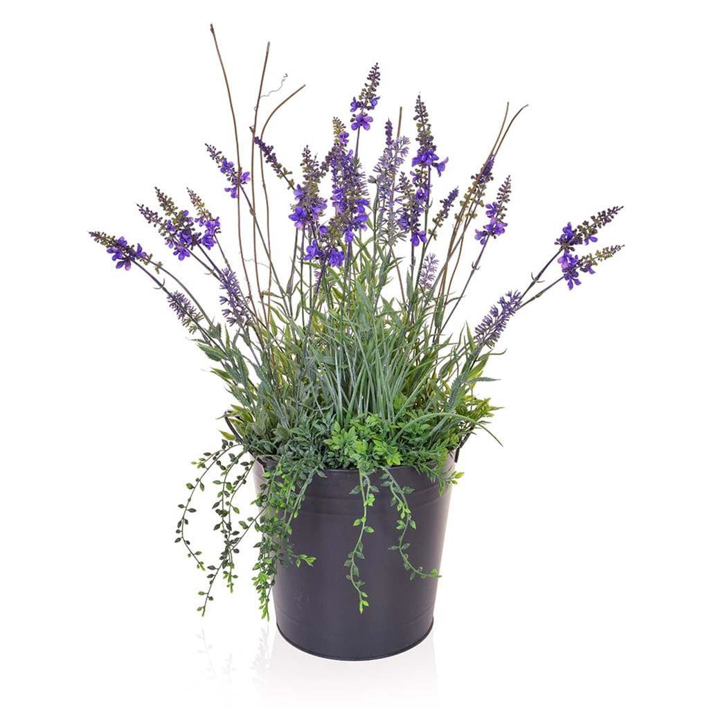 PP Lavender in Metal Pot 60cm.