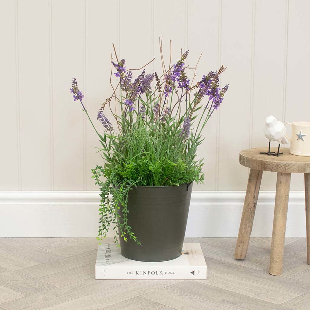 PP Lavender in Metal Pot 60cm.