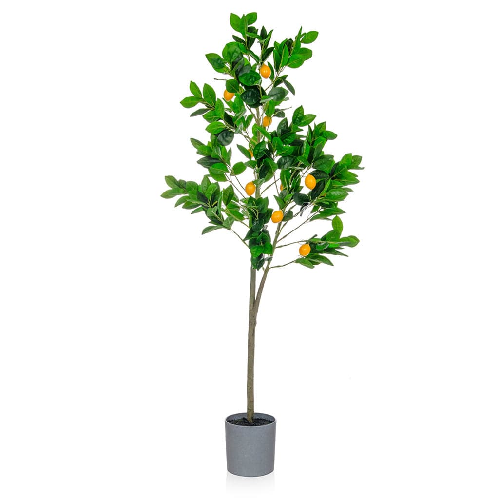 PP Lemon Tree in Grey Pot 130cm.