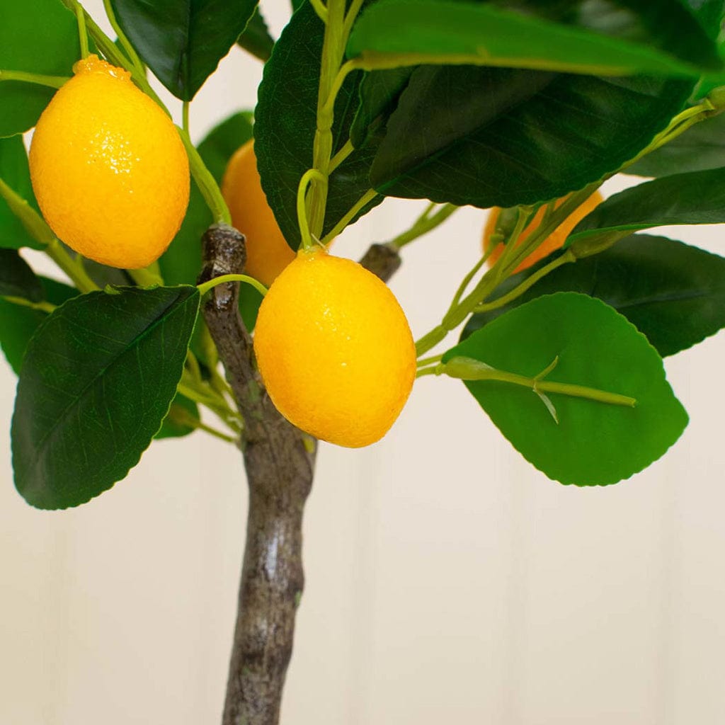 PP Lemon Tree in Grey Pot 130cm.
