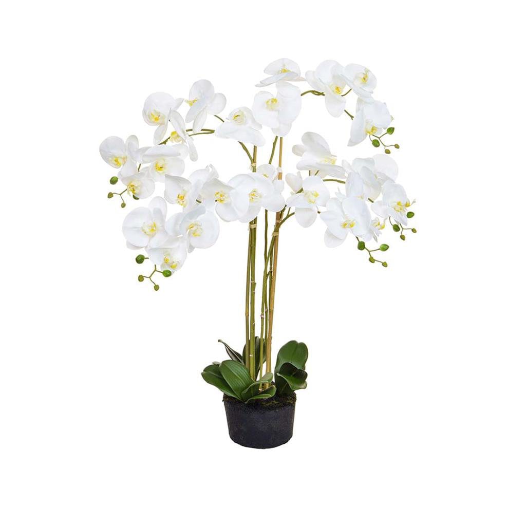 PP Orchid Phal Real Touch White Y 90cm.