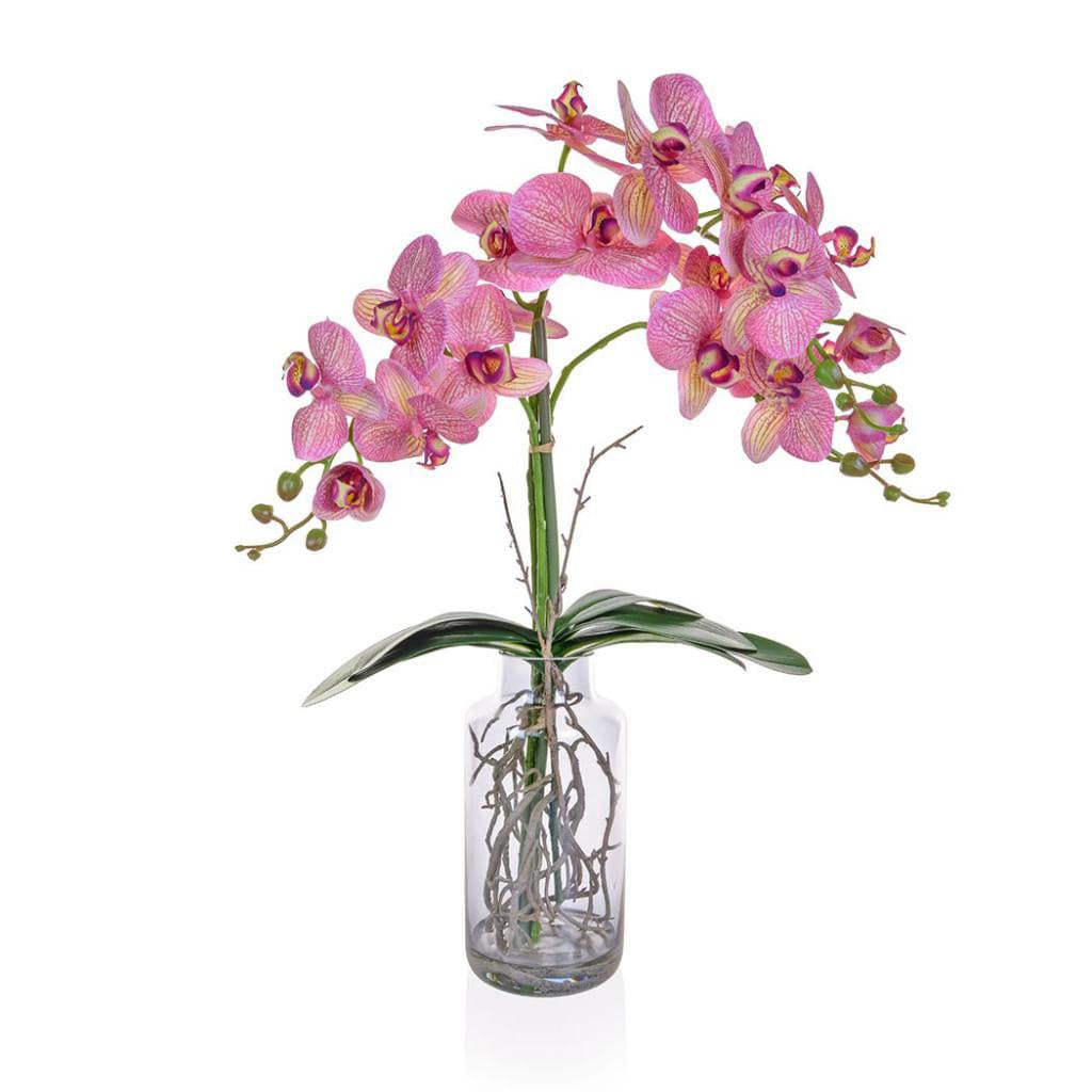 PP Phal Orchid Pk/Wh in Glass Vase JA 90cm.