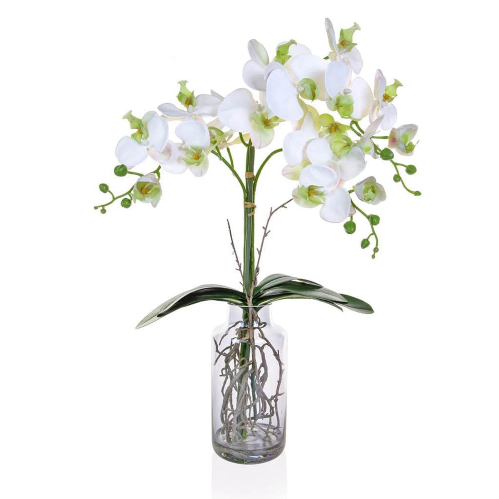 PP Phal Orchid Wh in Glass Vase JA 90cm.