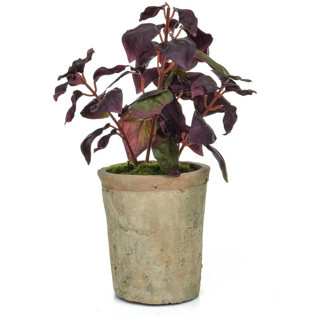 PP Potted Herb Basil GB Burgundy 28cm.