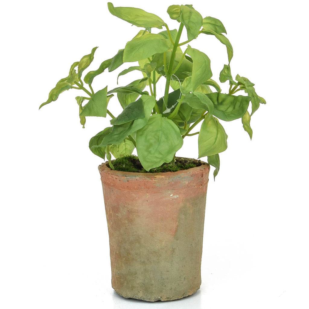 PP Potted Herb Basil GB Green 28cm.