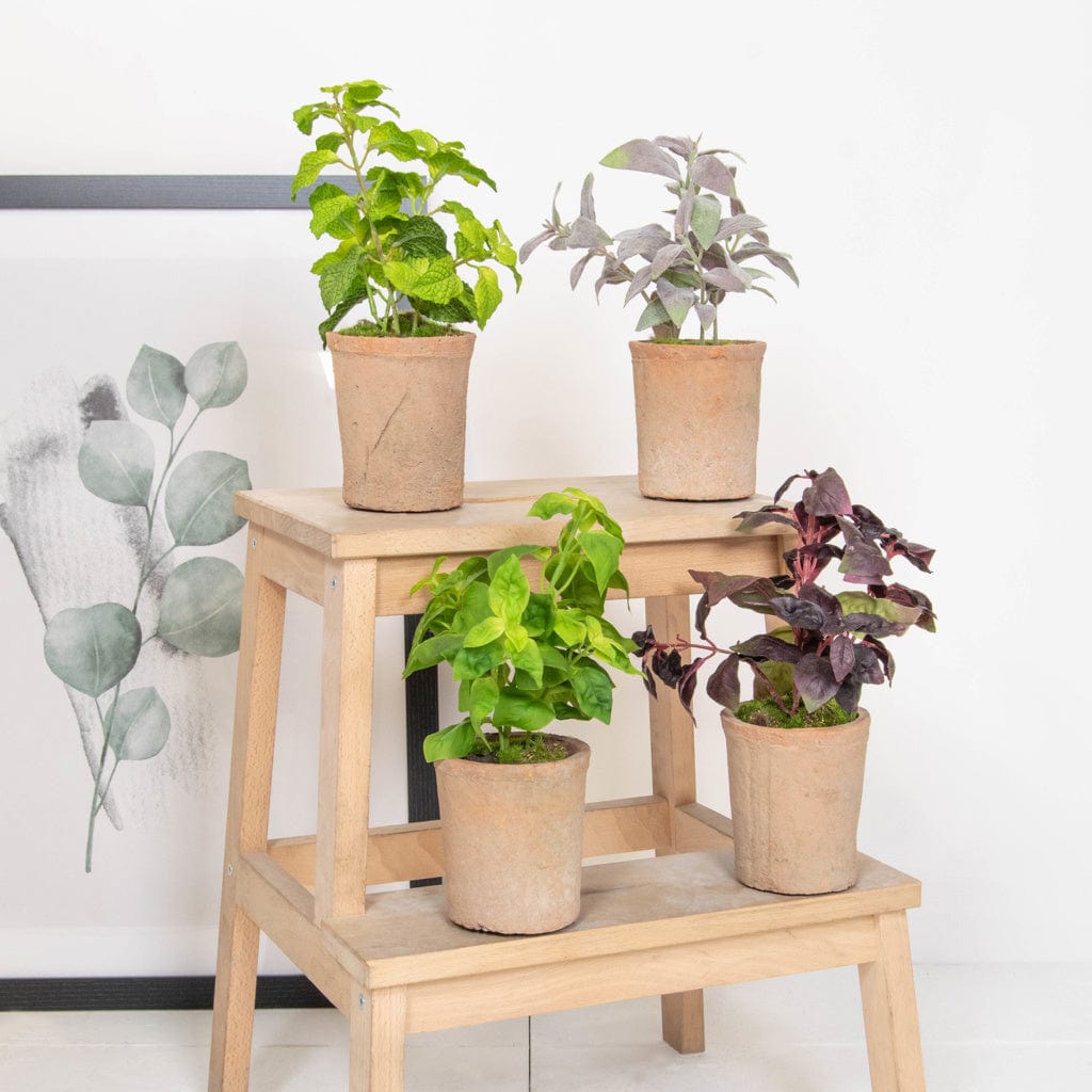 PP Potted Herb Mint GB Green 27cm.