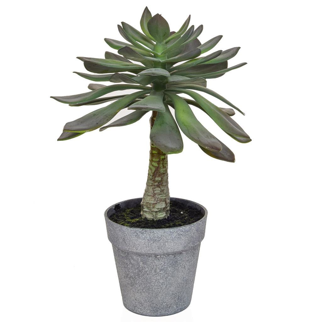 PP Succulent Green YF 37cm.