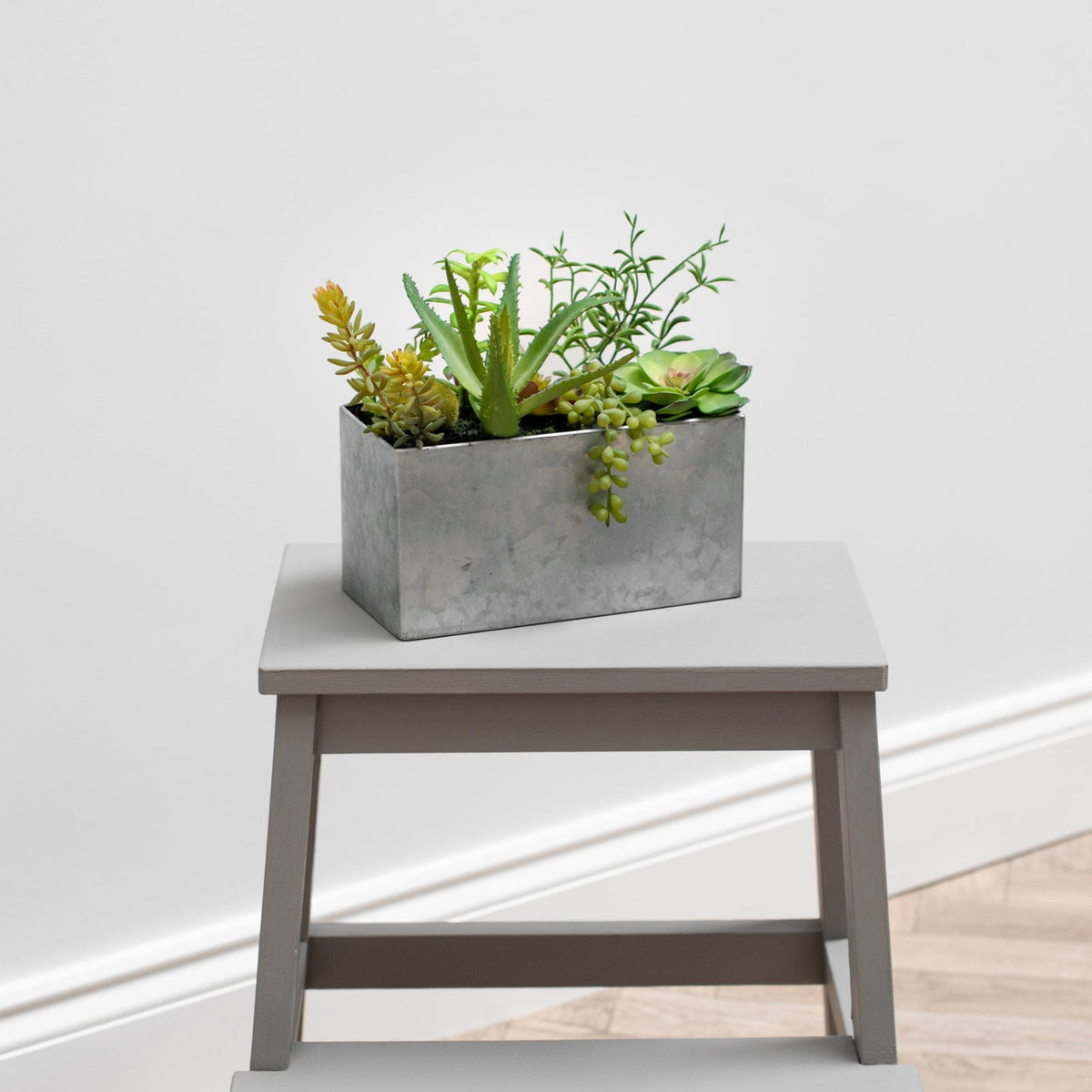 PP Succulent Mix in Steel Trough YF 22cm.