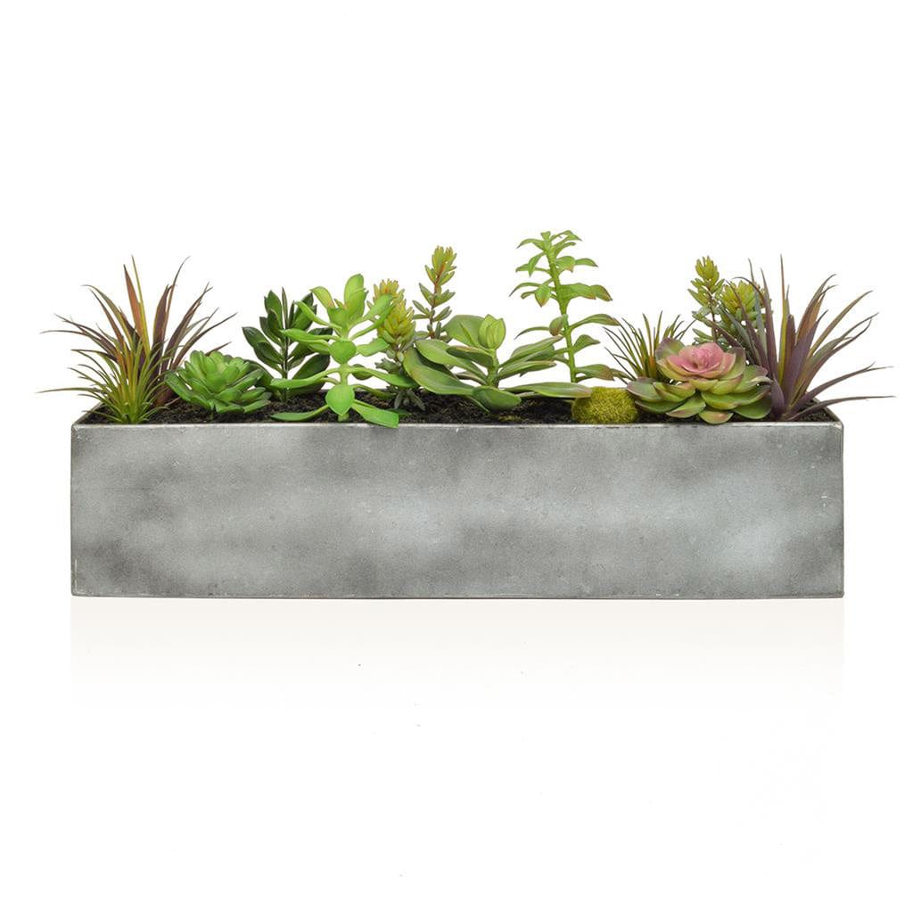 PP Succulent Mix in Steel Trough YF 50cm.