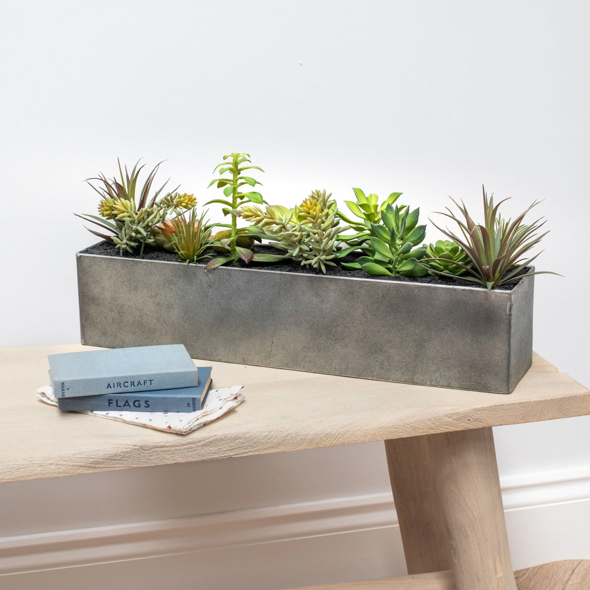 PP Succulent Mix in Steel Trough YF 50cm.