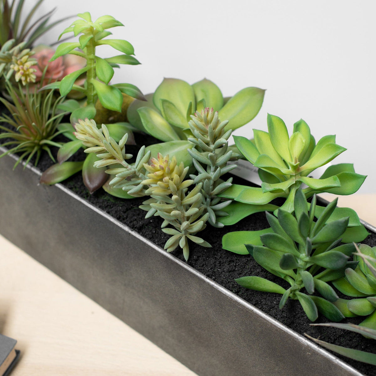 PP Succulent Mix in Steel Trough YF 50cm.