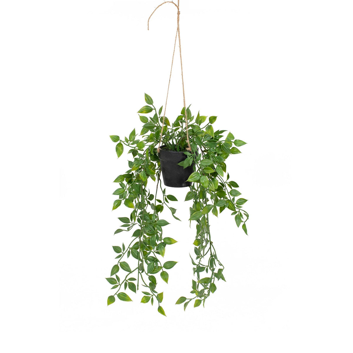 PP Trailing Plant in Pot YF 47cm.