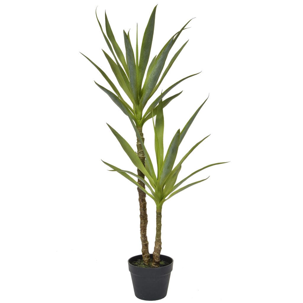PP Yucca in Black Pot YF 110cm.