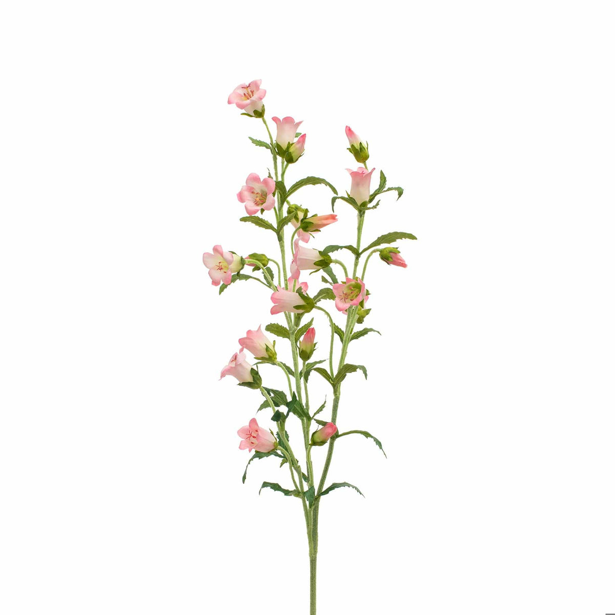 SF Bell Flower Pink GB 92cm.
