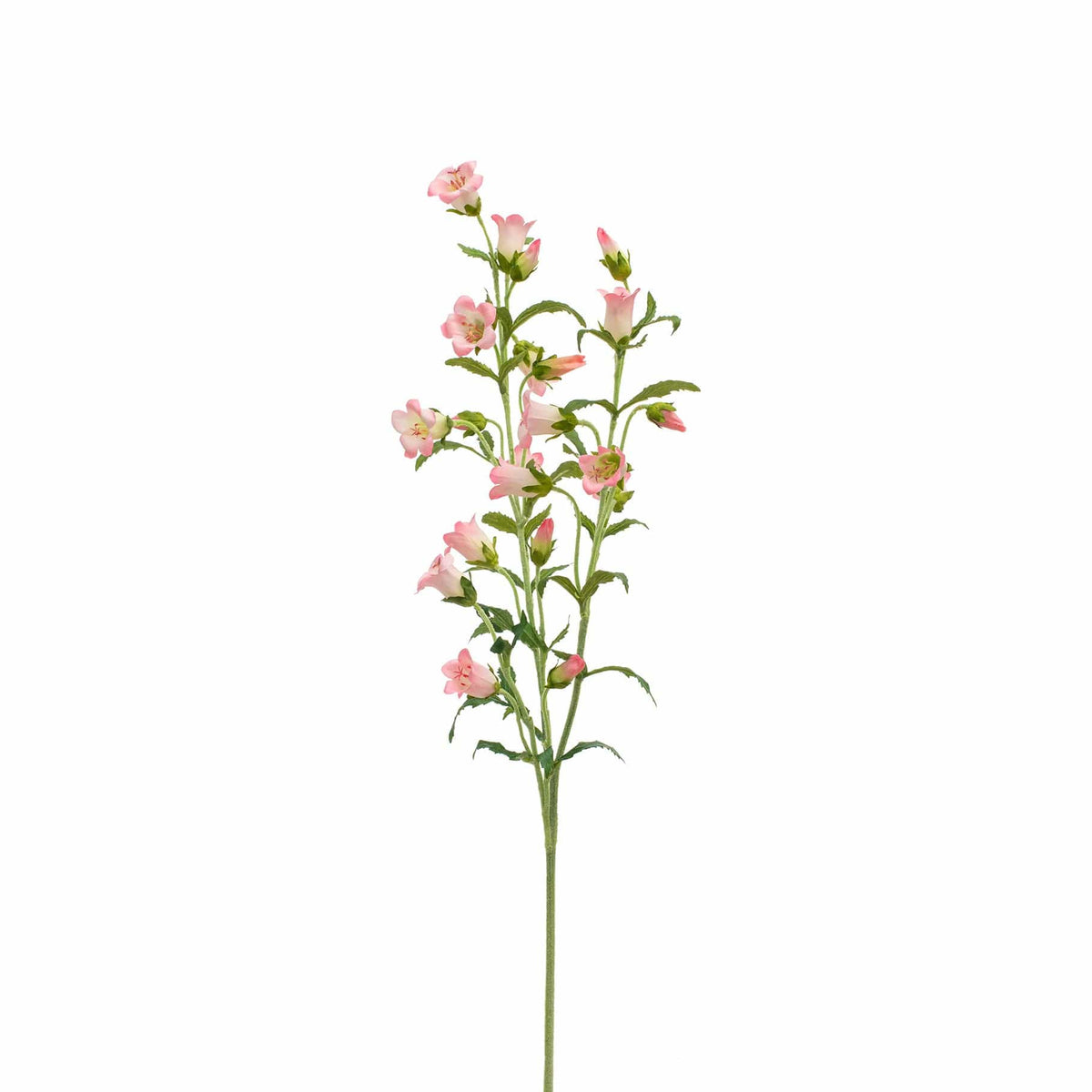 SF Bell Flower Pink GB 92cm.