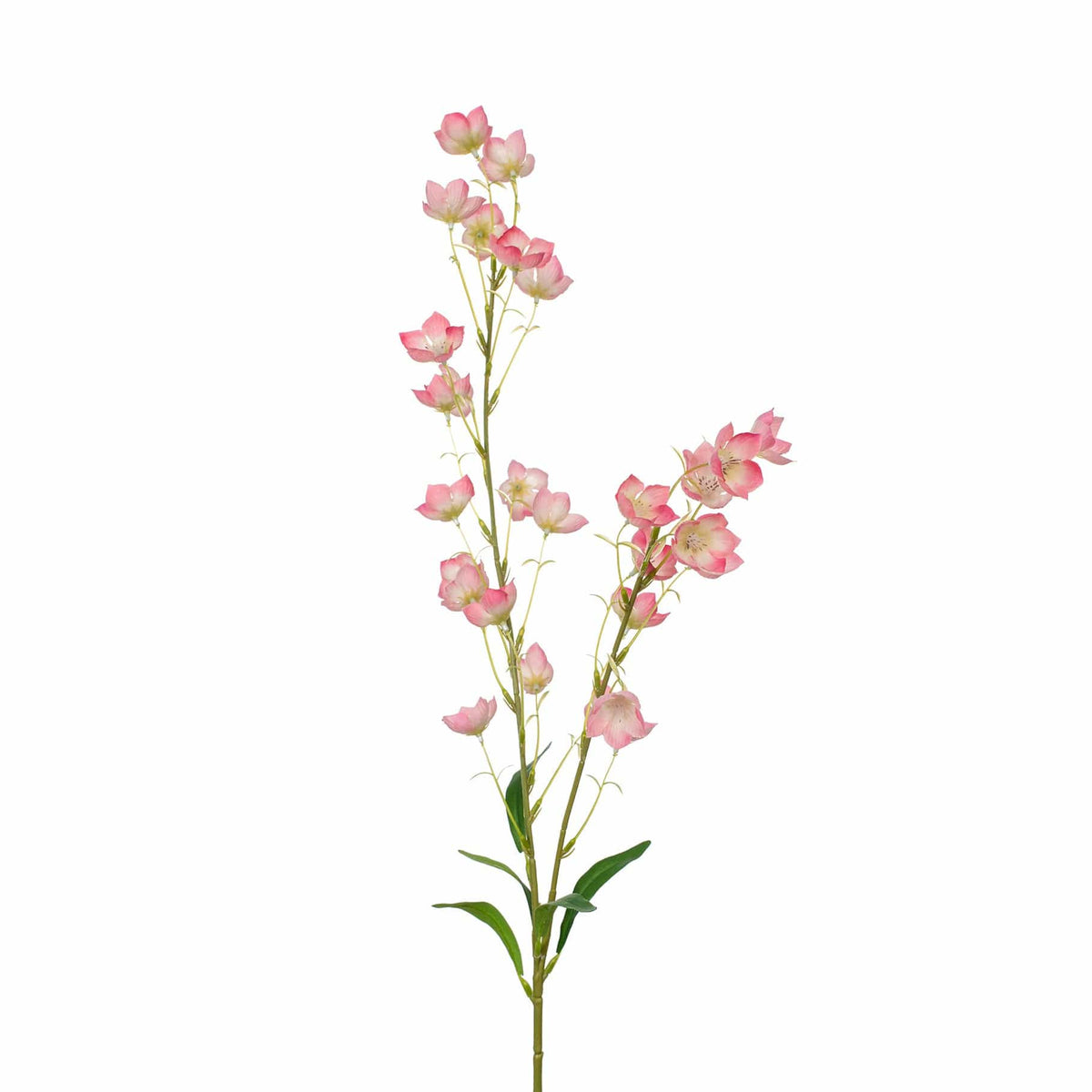 SF Bell flower Pink/White GB 94cm.