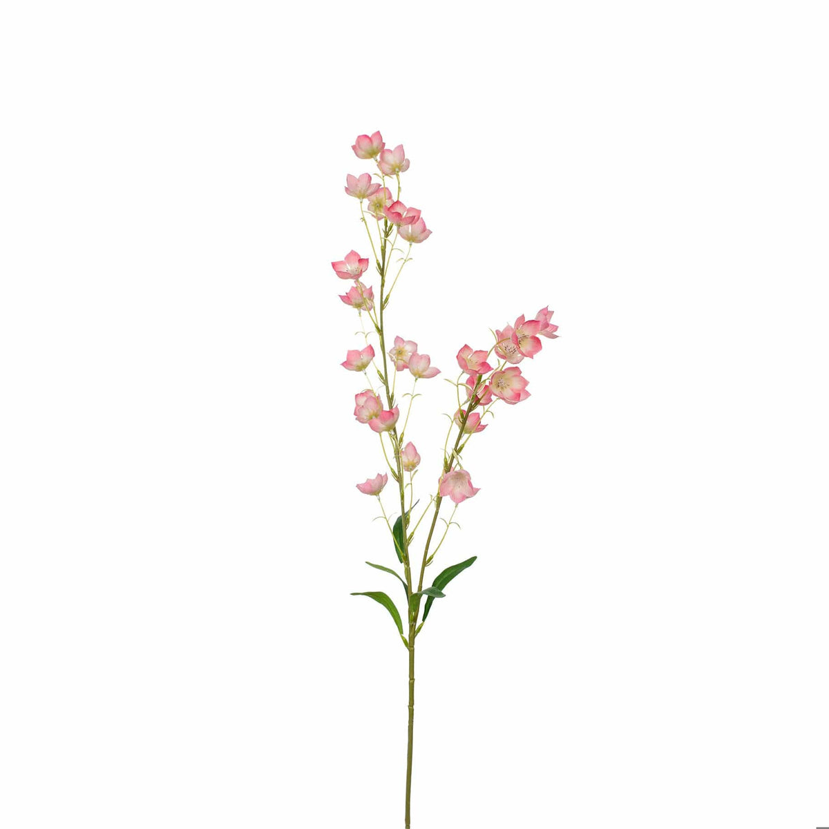 SF Bell flower Pink/White GB 94cm.