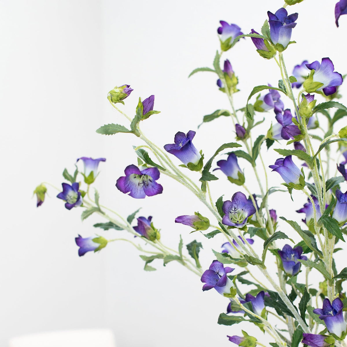 SF Bell Flower Purple GB 92cm.