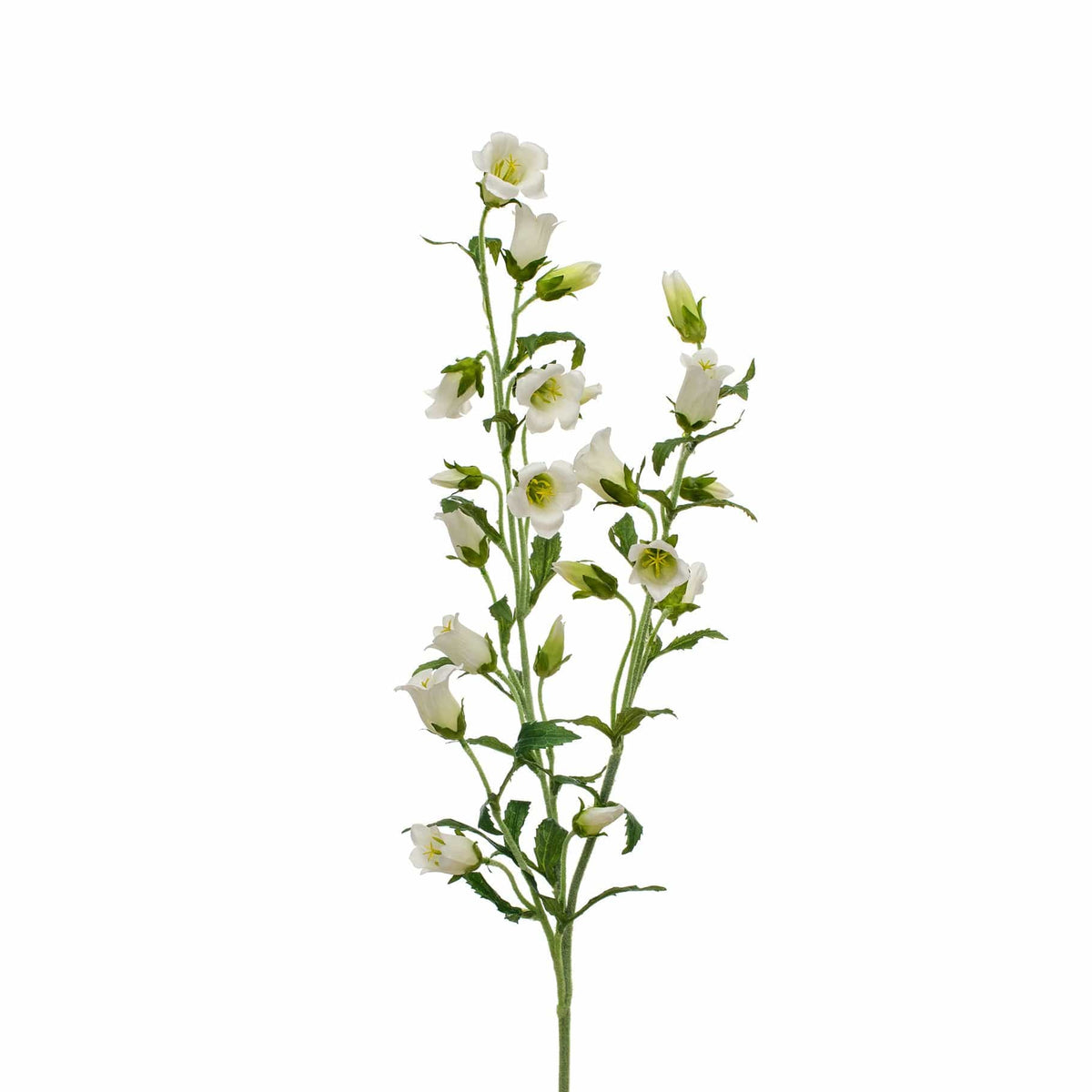 SF Bell Flower White GB 92cm.