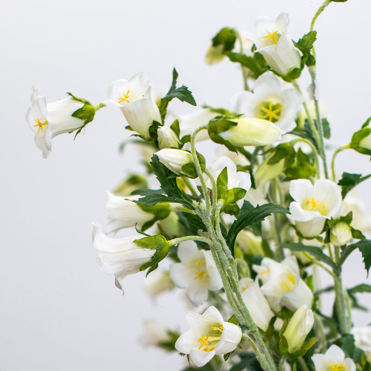 SF Bell Flower White GB 92cm.