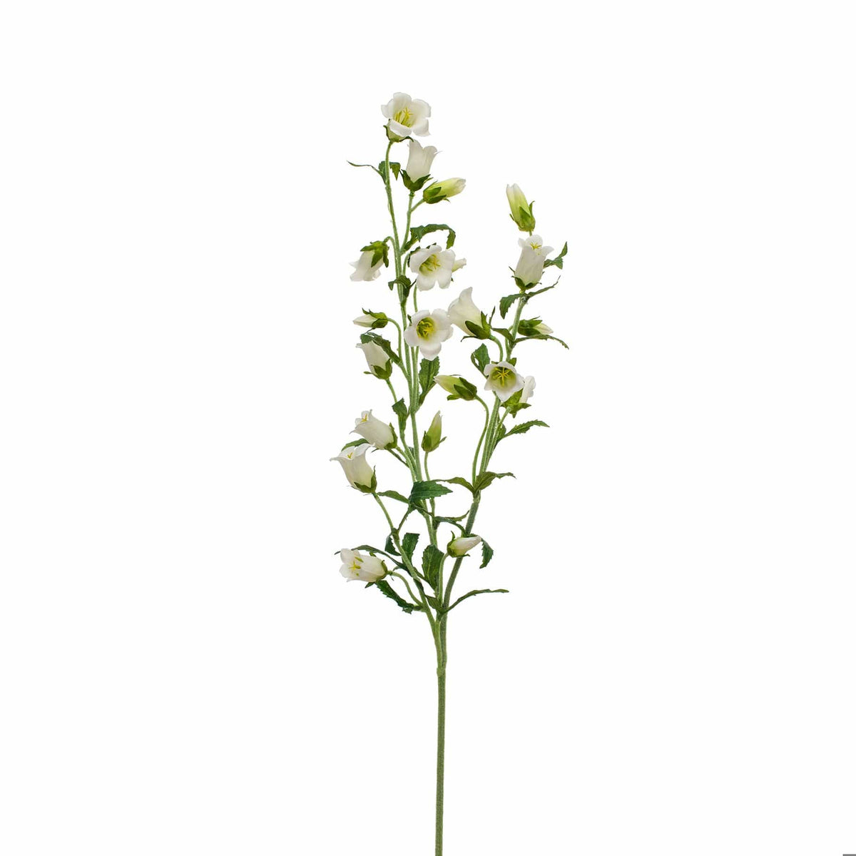 SF Bell Flower White GB 92cm.