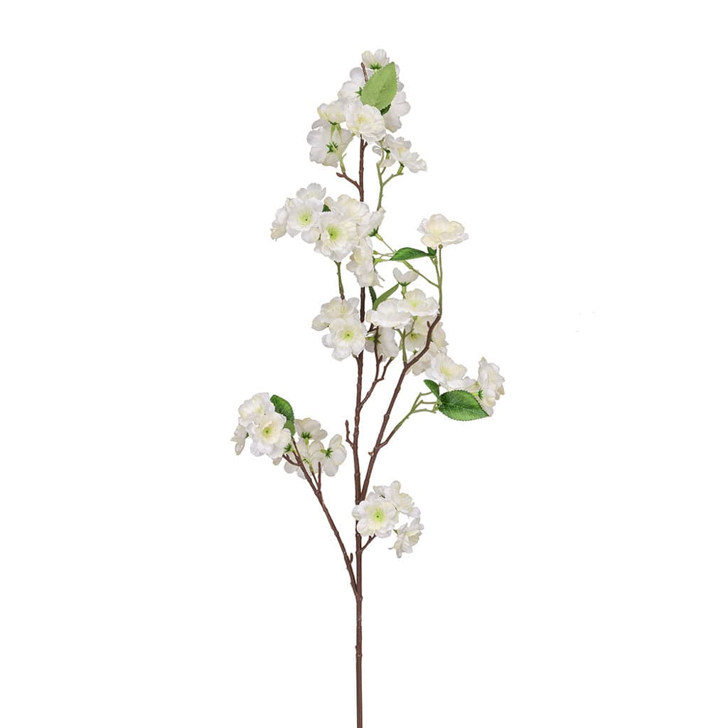 SF Cherry Blossom Cream W 100cm.