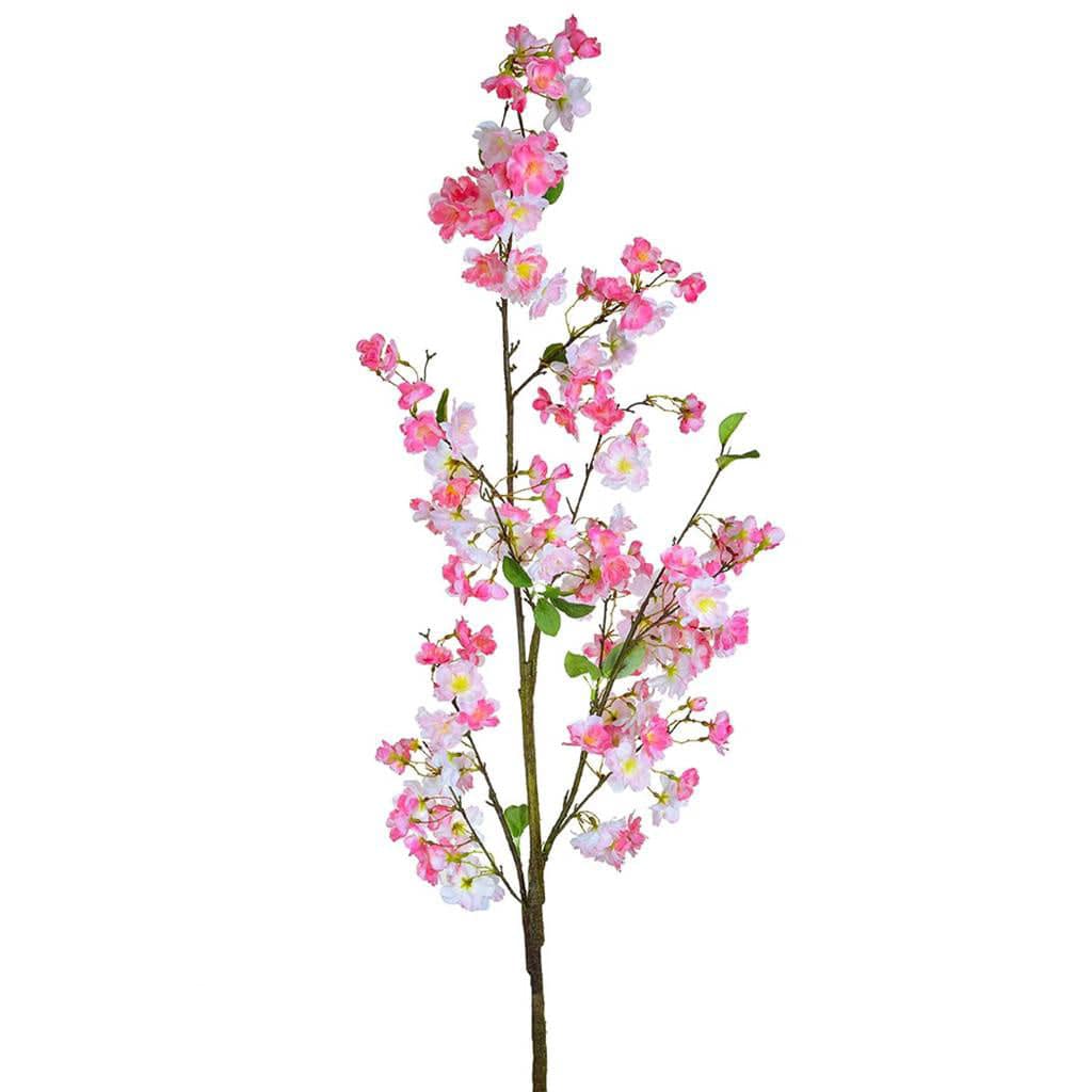 SF Cherry Blossom Pink JA 157cm.