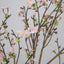 SF Cherry Blossom Sakura Pink 140cm.