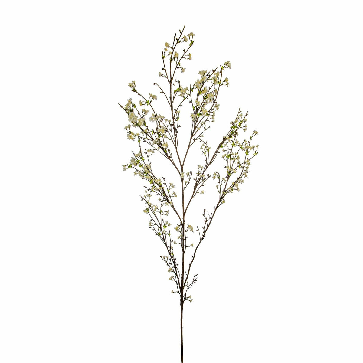 SF Cherry Blossom Sakura White 140cm.