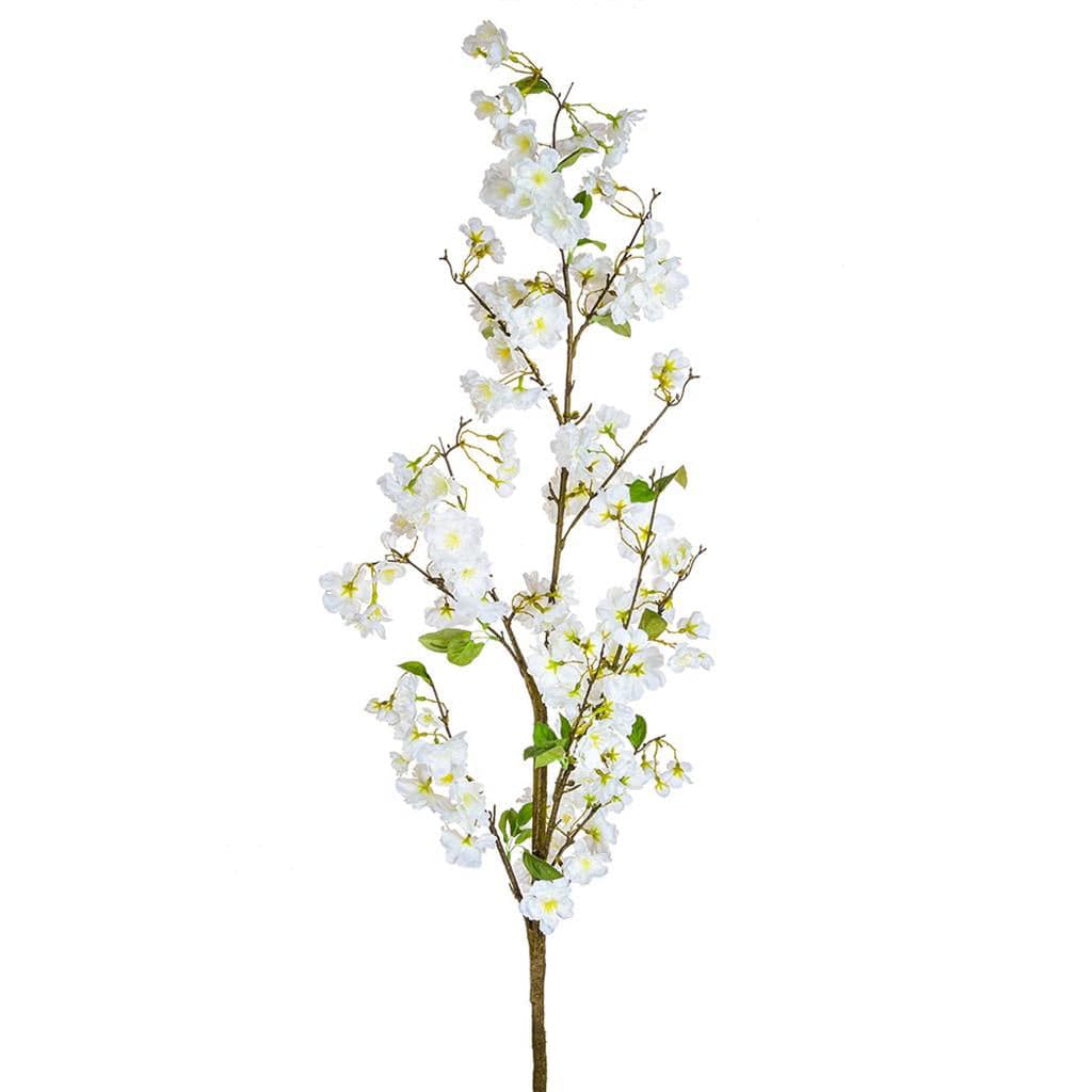 SF Cherry Blossom White JA 157cm.