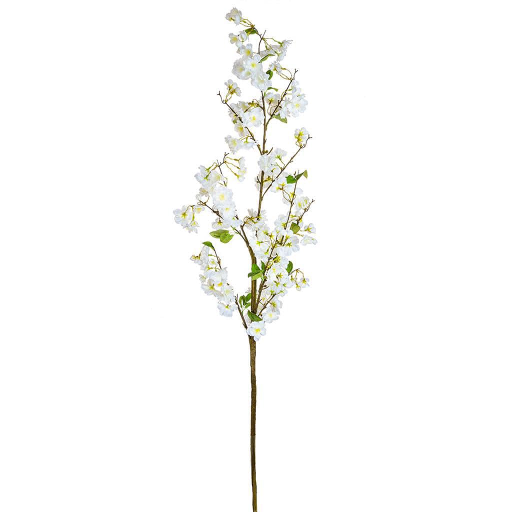 SF Cherry Blossom White JA 157cm.