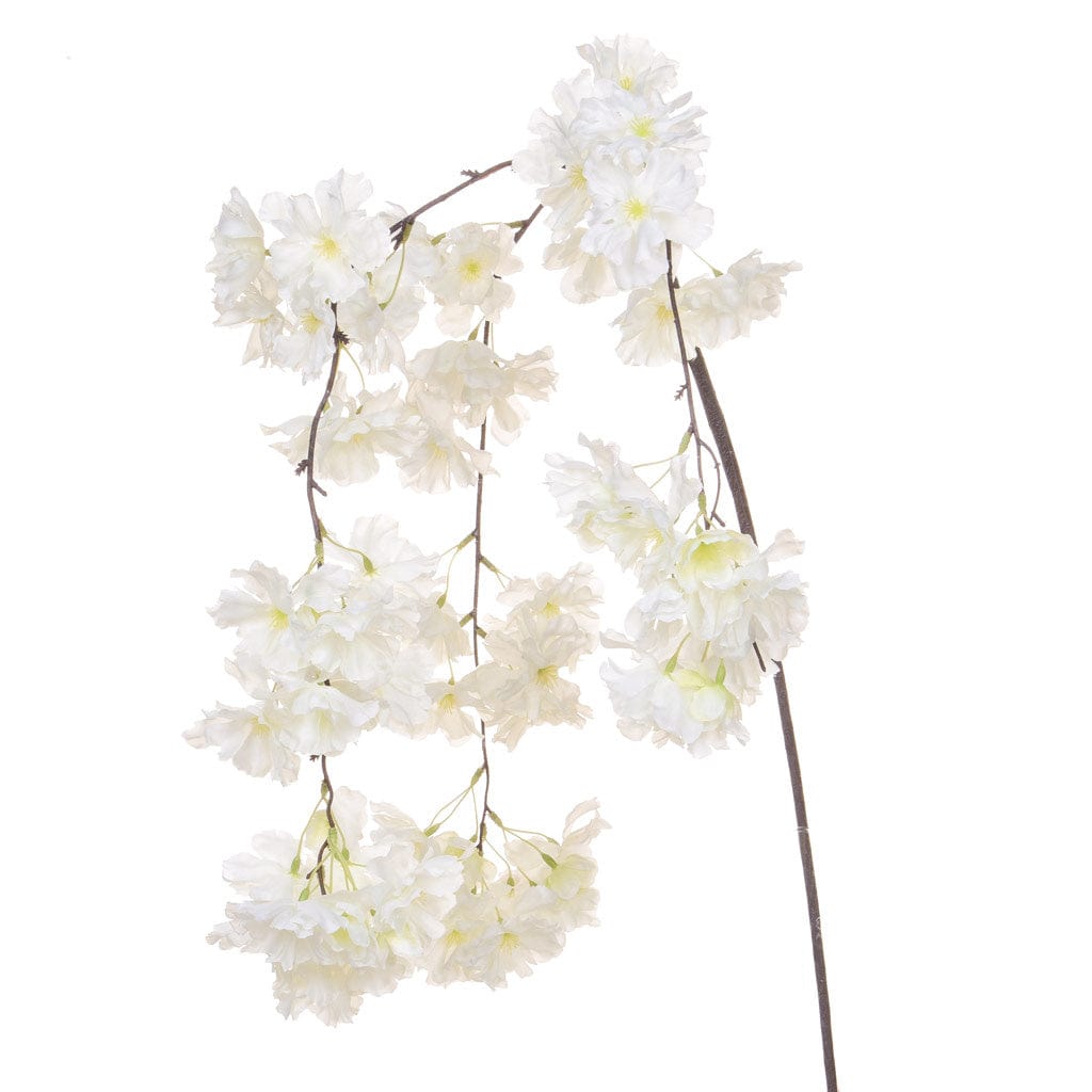 SF Cherry Blossom White XE 122cm.