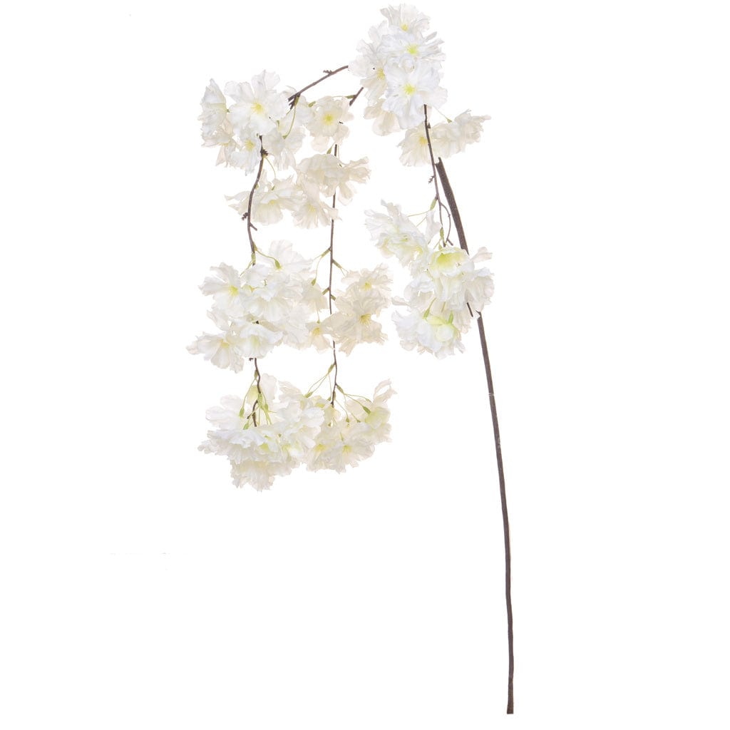 SF Cherry Blossom White XE 122cm.