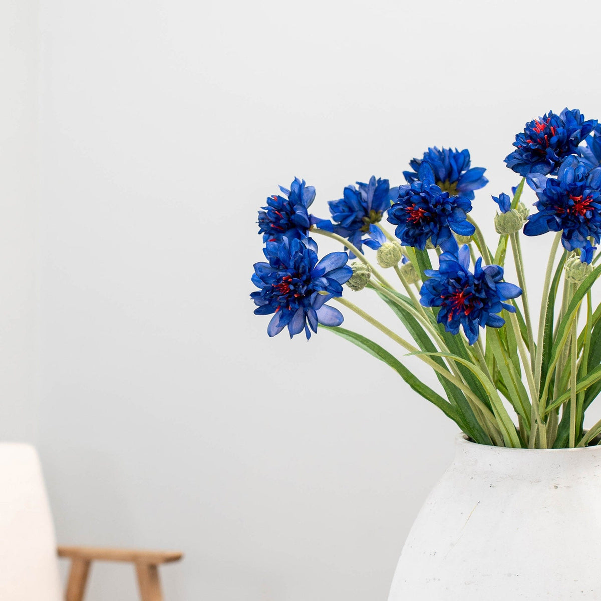 SF Corn Flower Blue GB 65cm.