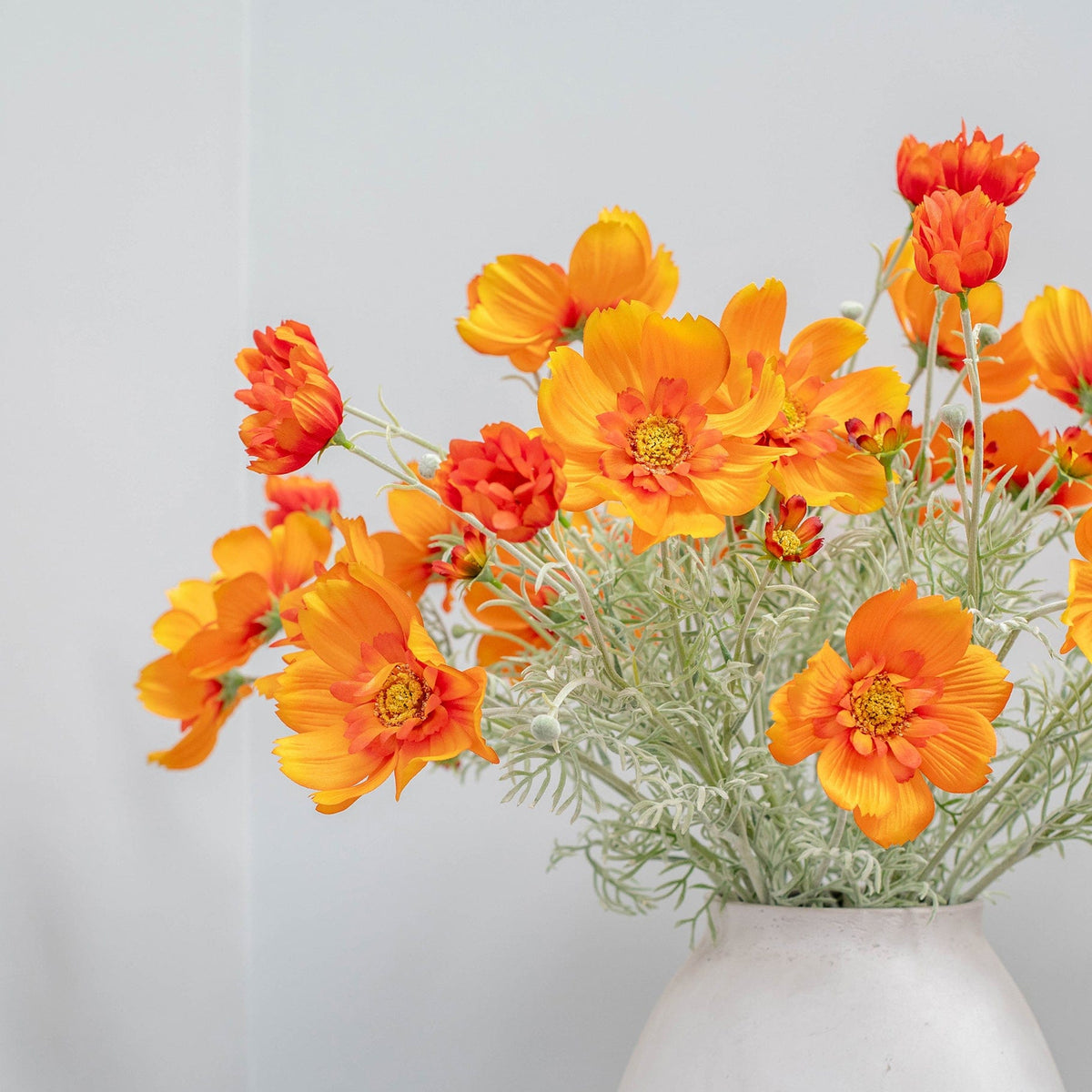 SF Cosmos Orange GB 78cm.