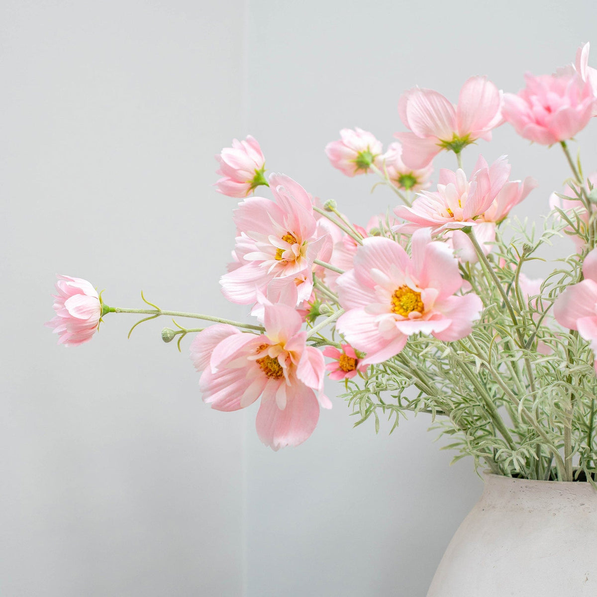 SF Cosmos Pink GB 78cm.