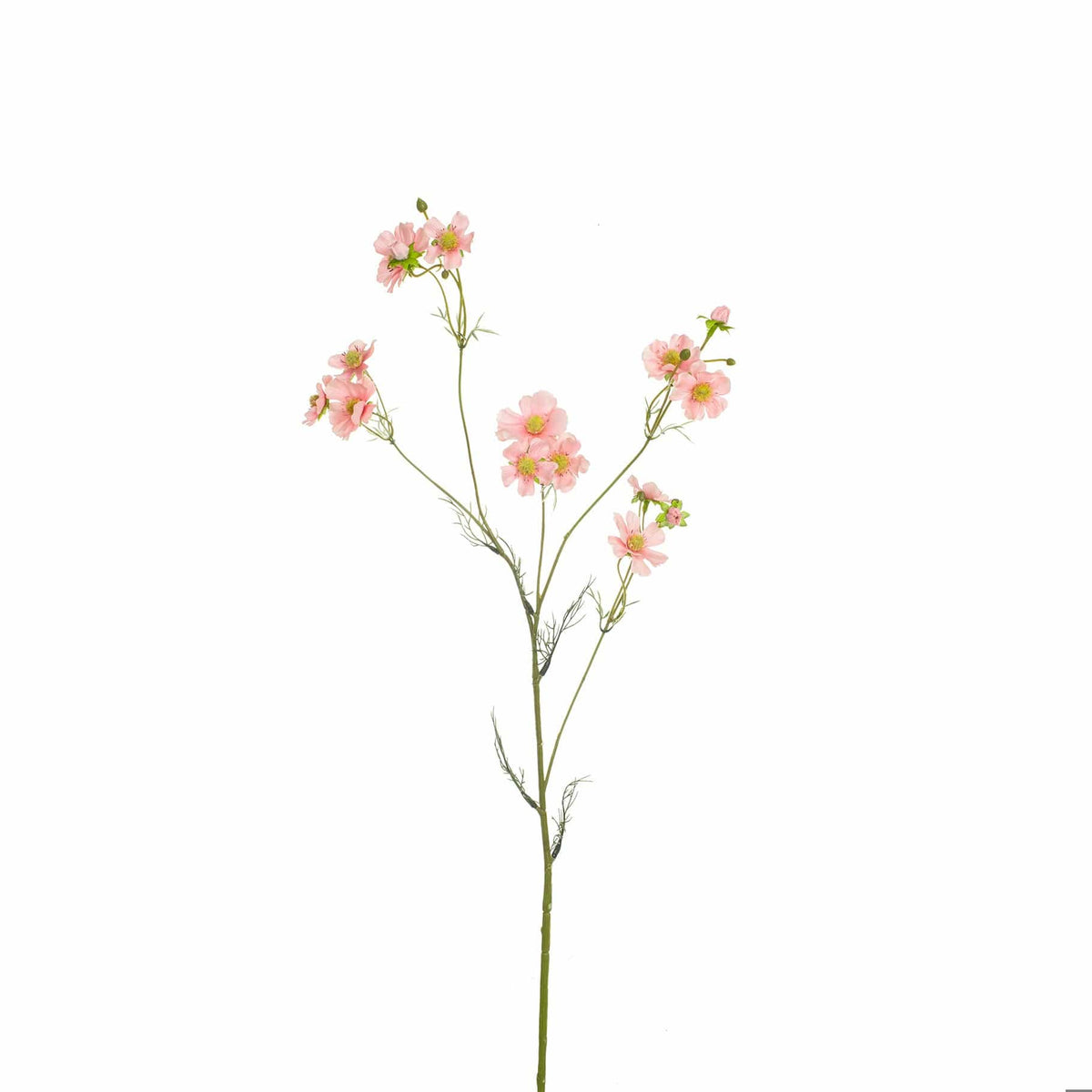 SF Cosmos Pink GB 96cm.