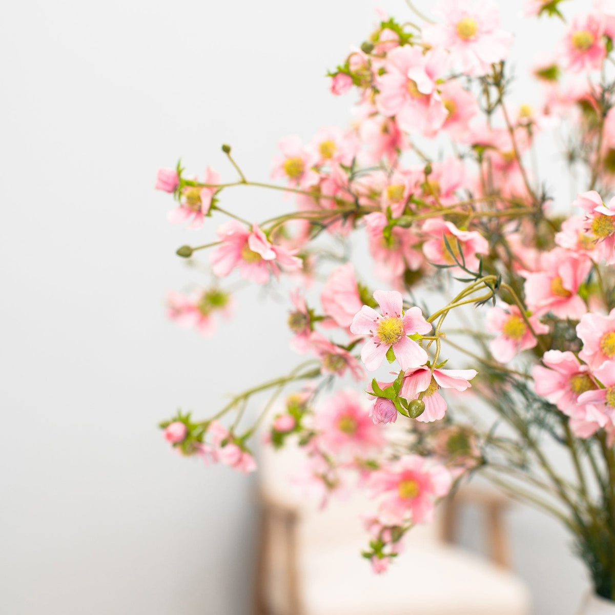 SF Cosmos Pink GB 96cm.