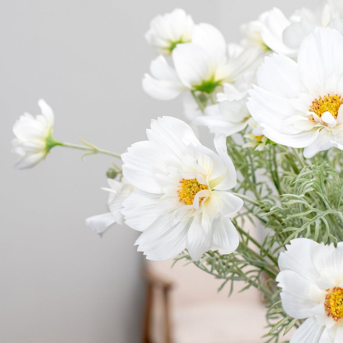 SF Cosmos White GB 78cm.