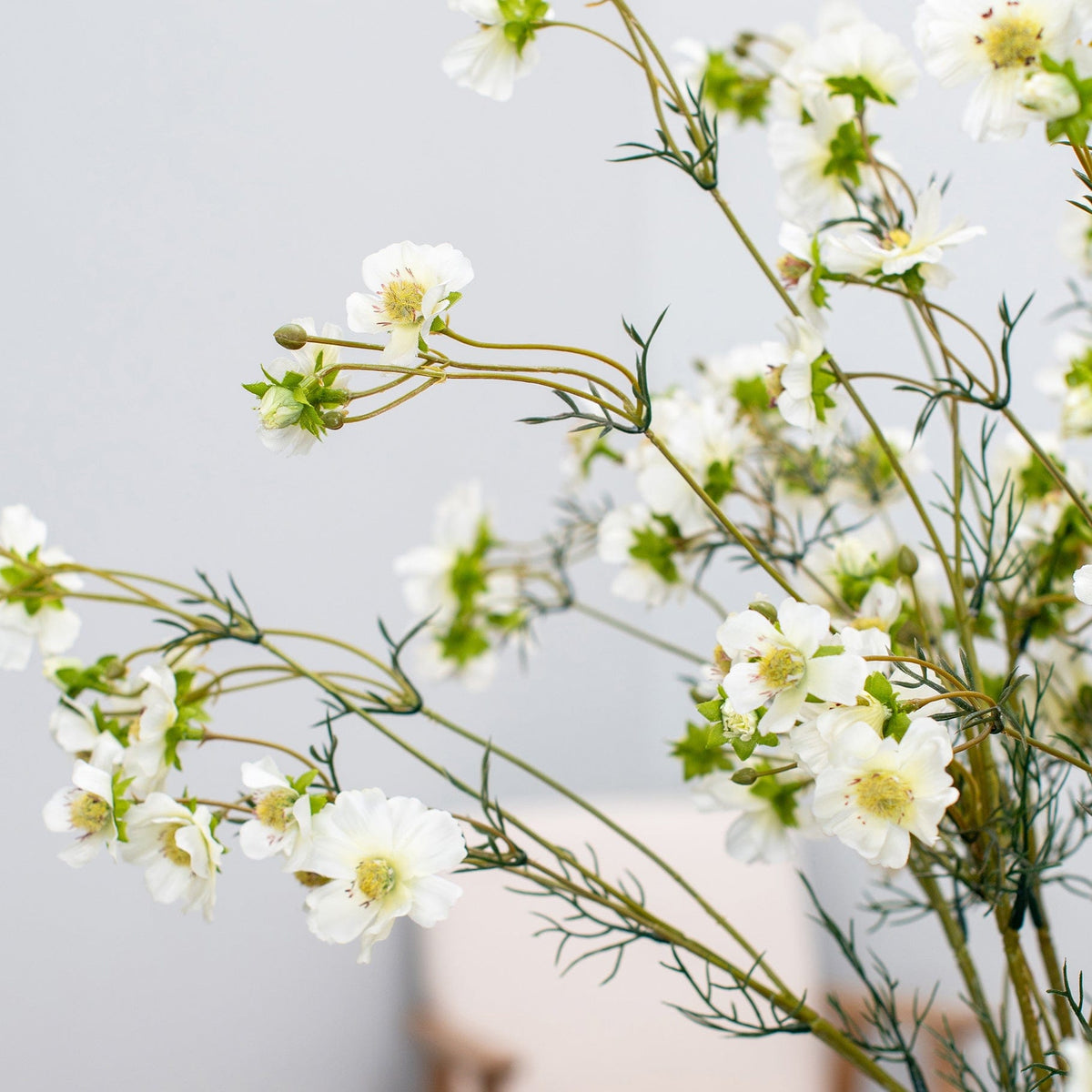 SF Cosmos White GB 96cm.