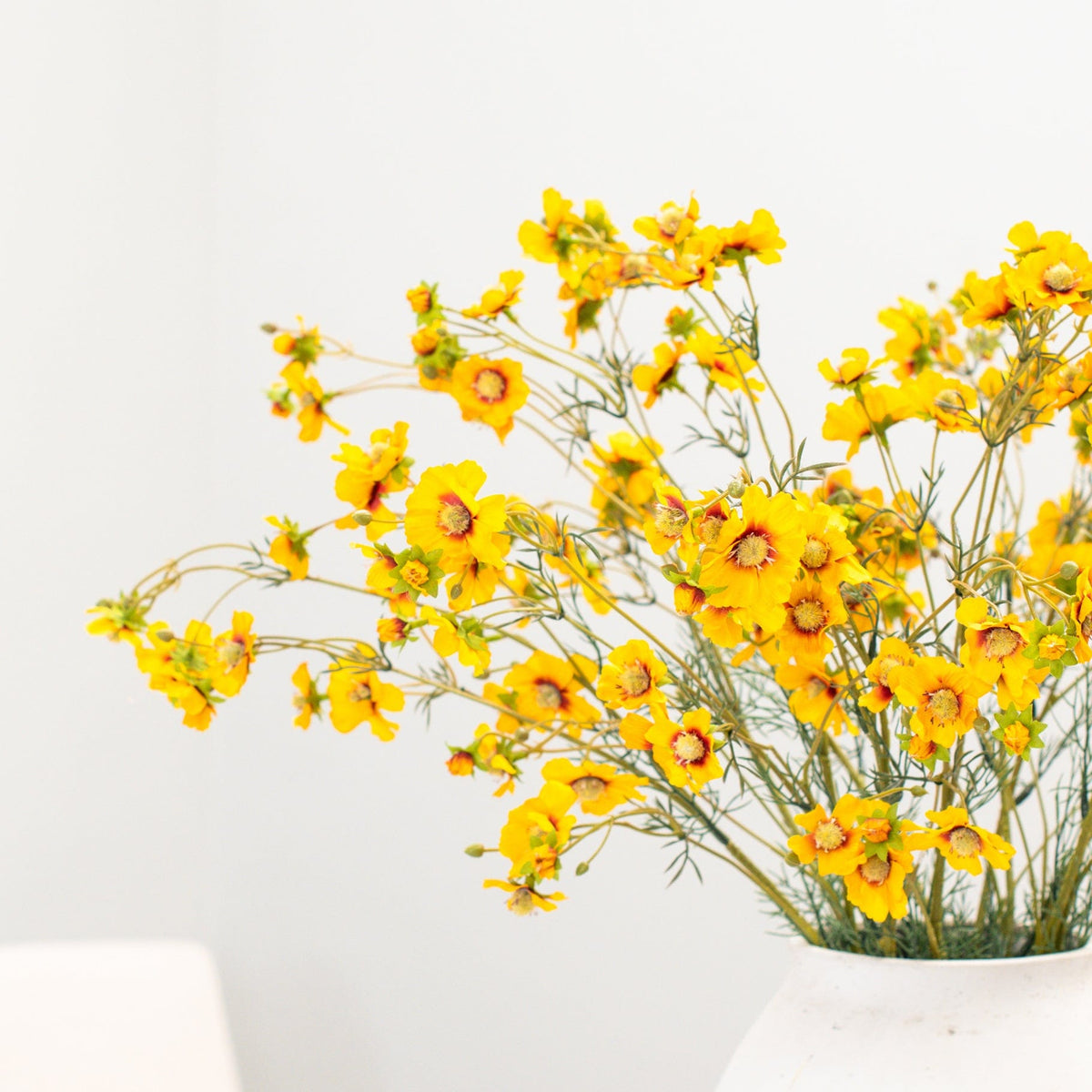 SF Cosmos Yellow GB 96cm.