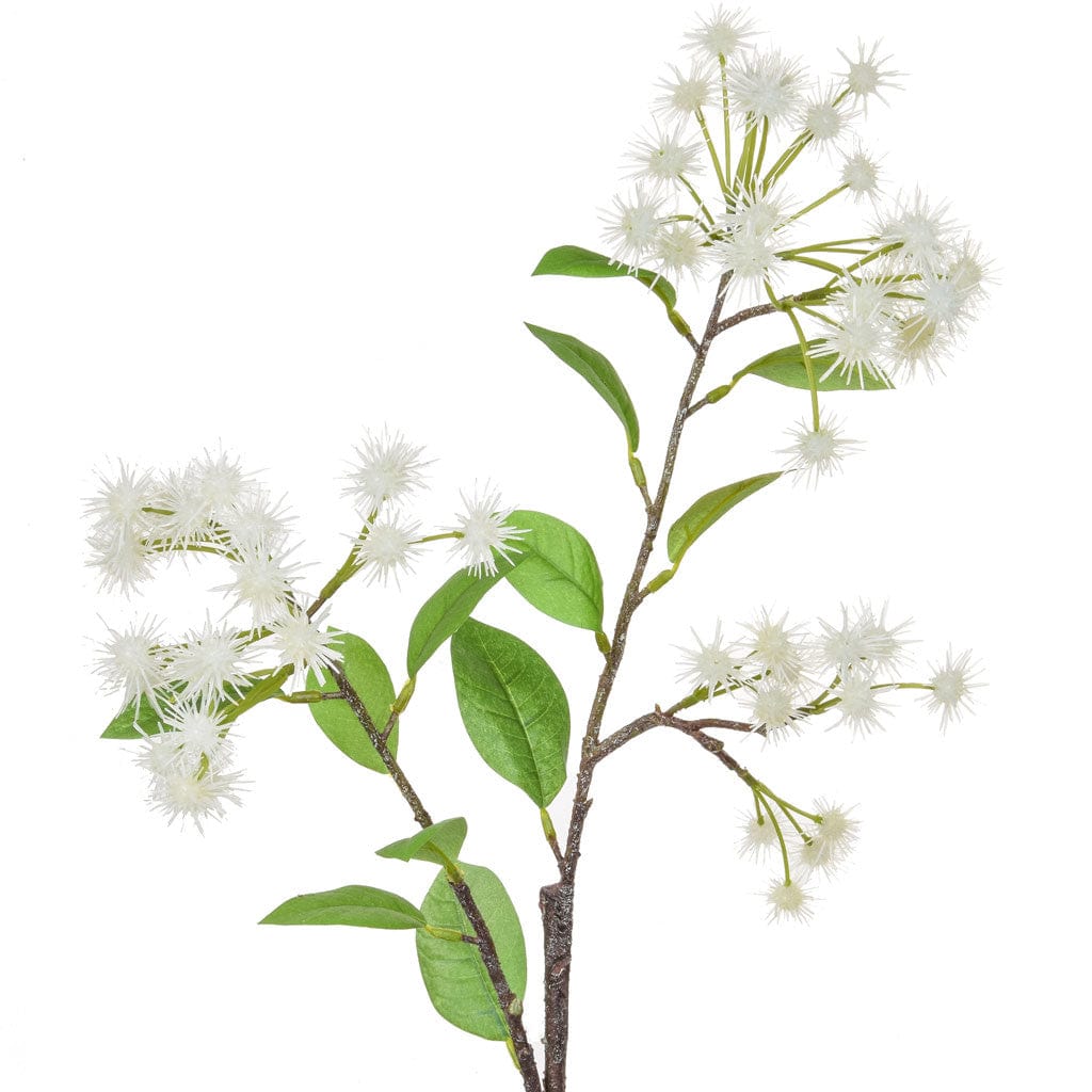 SF Dandelion Spray Cream XY 92cm.